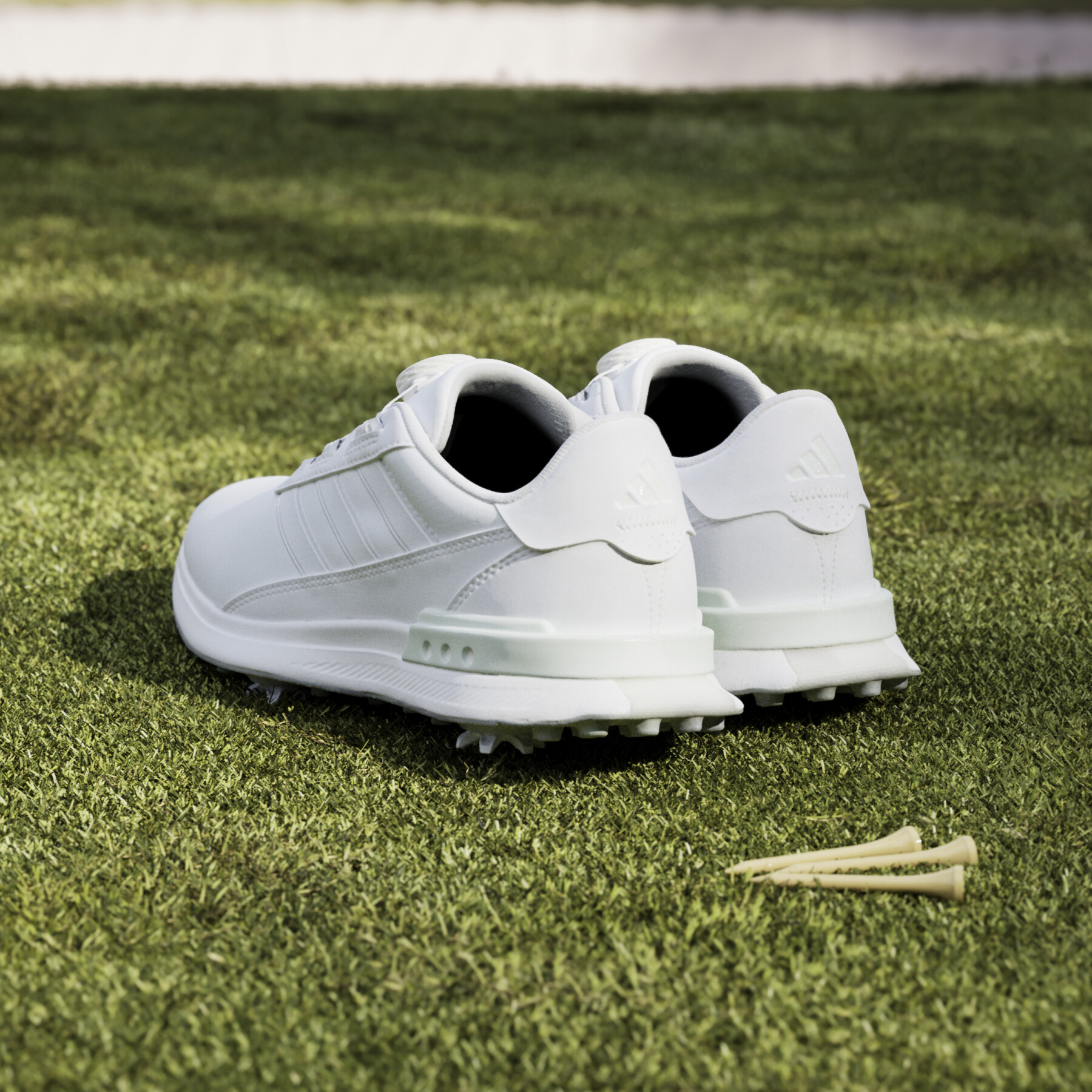 Golfschuhe mit Spikes adidas S2G BOA 24